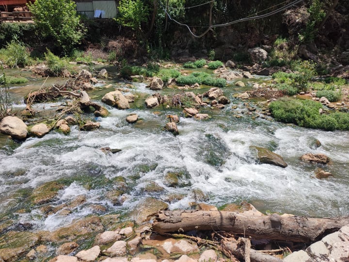 IMG_20250422_125910_dlxmof