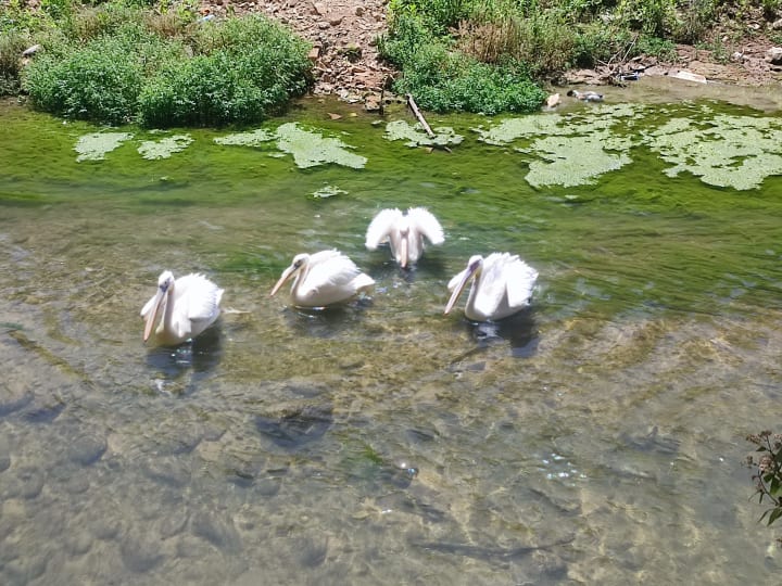 IMG_20250509_111633_nwx5dp