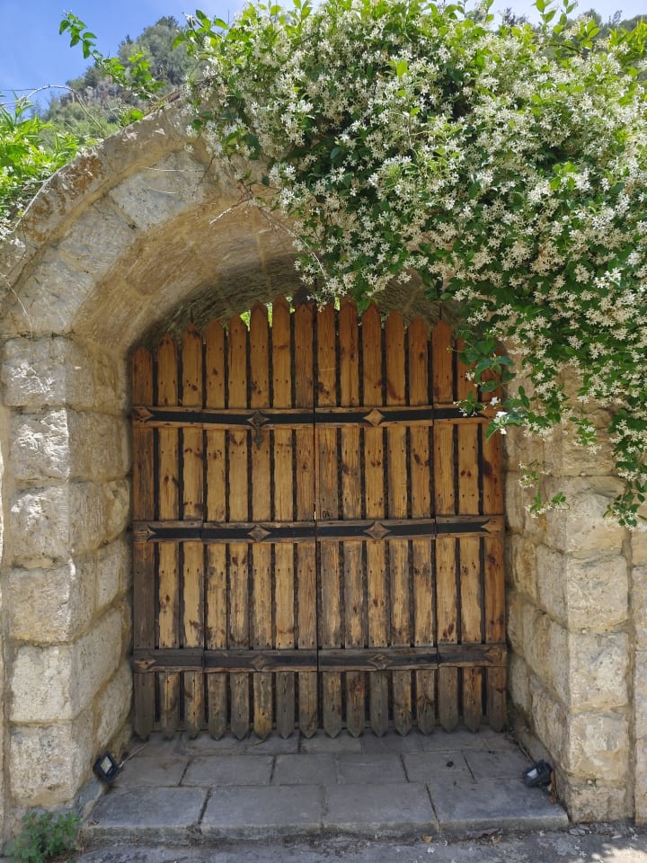 IMG_20250516_112004_hlqfhz