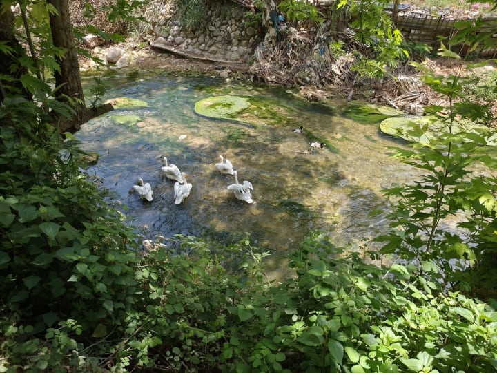 IMG_20250520_130413_f6pyxn