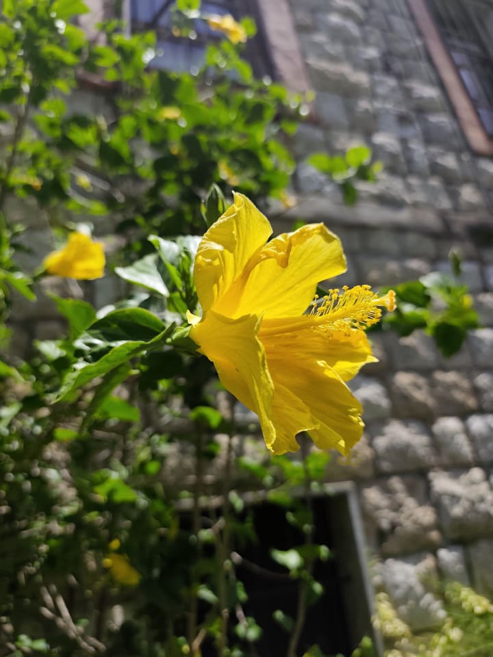 IMG_20250704_122235_ew6eso