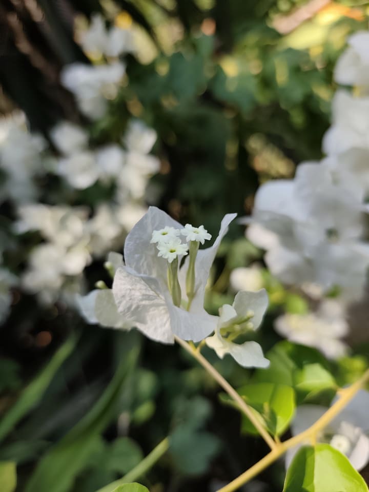 IMG_20250718_081858_uoir83