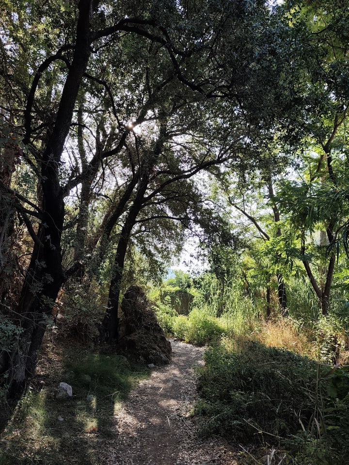 IMG_20250718_082458_uxkvap