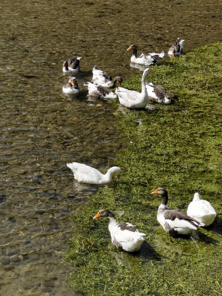 IMG_20250725_093515_u2llh3